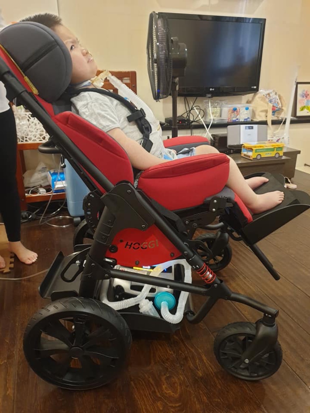 17萬特製推車的故事：從母親節禮物到終於出門 照片 8
